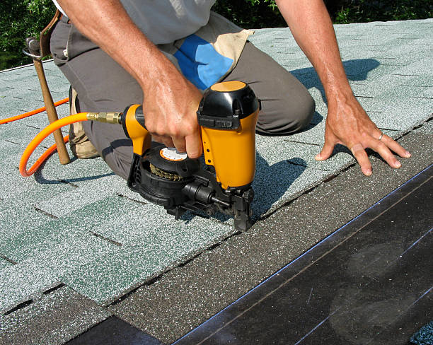Best Roof Gutter Cleaning  in Port Chester, NY